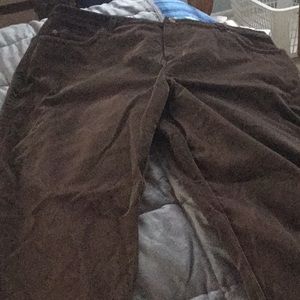 NWT, Brown velvet pants, size 16